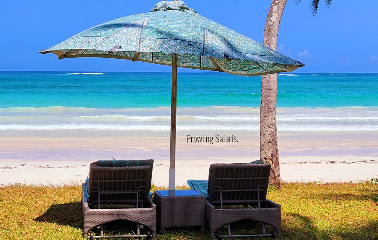 Diani