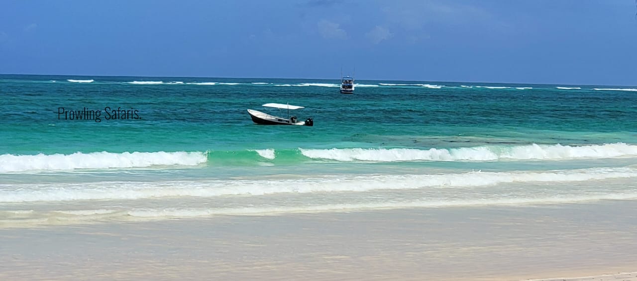 Diani