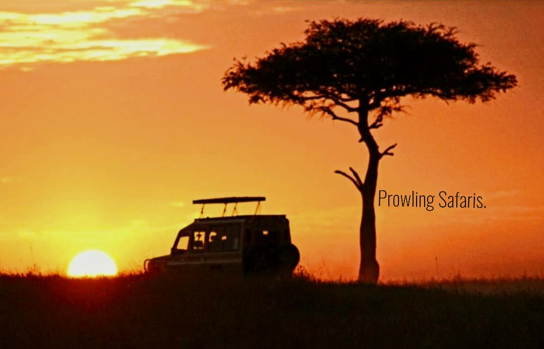 Maasai Mara